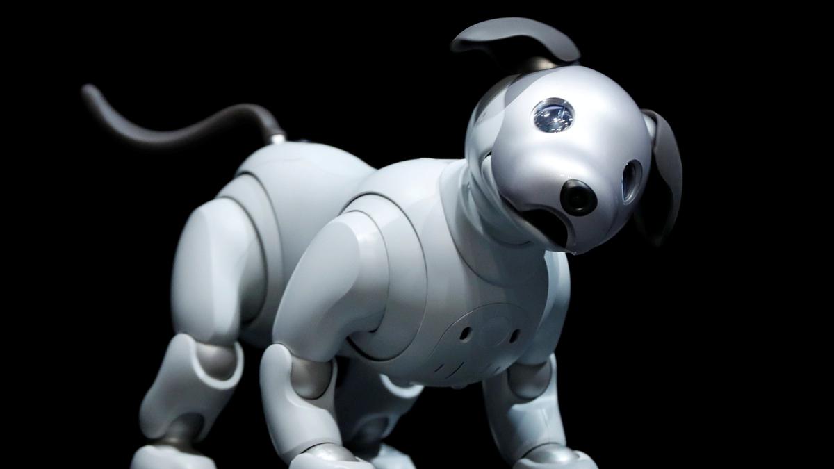 Sony says it has technology for humanoid robots, just looking for use