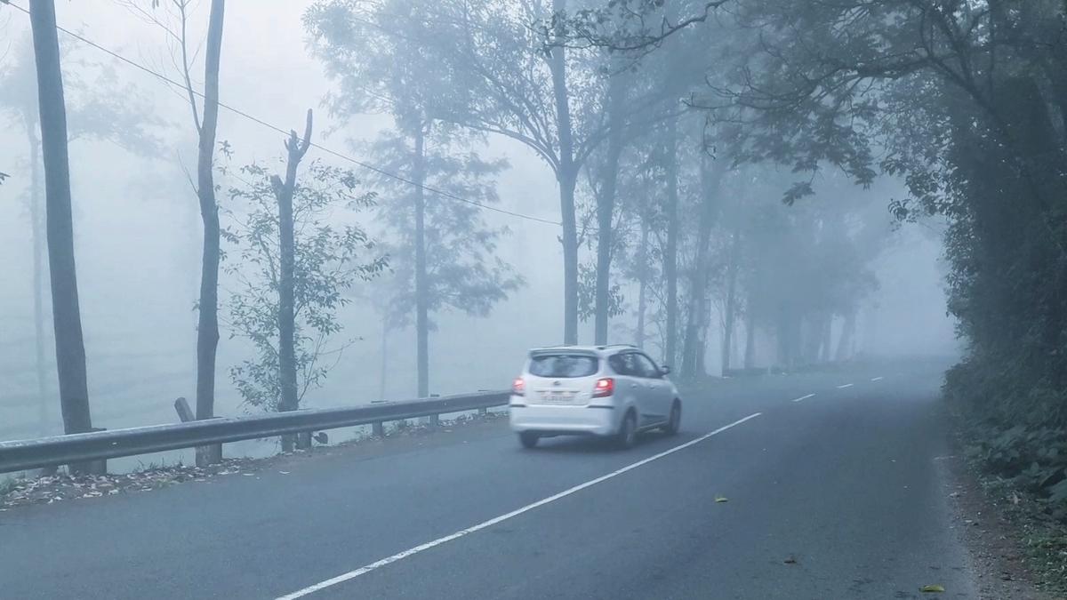 While rest of Kerala sizzles, Munnar hill station shivers