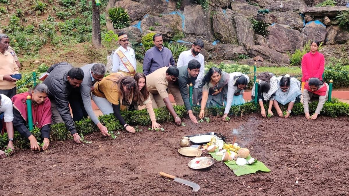 Planting for second season begins in Govt. Botanical Garden in Udhagamandalam