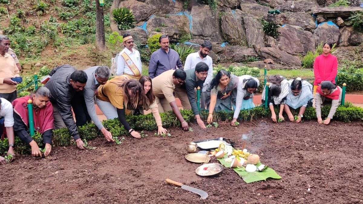 Planting for second season begins in Govt. Botanical Garden in Udhagamandalam
