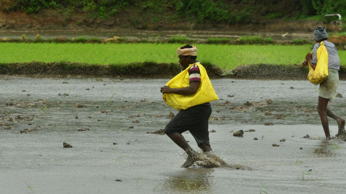 Truant monsoon jacks up energy consumption by 46% in June-Aug. period