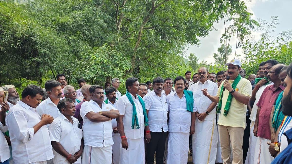 DMK allowed encroachment of 10,000 acres in Pallikaranai marshland: Anbumani
