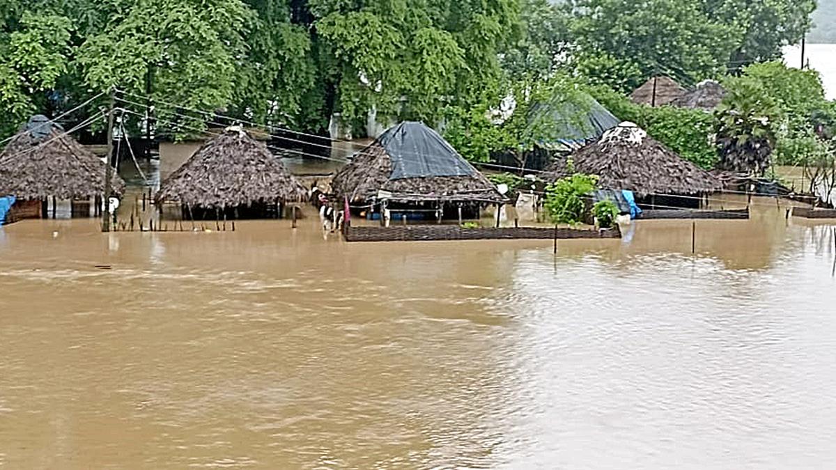 Watch| What happens when the Godavari river floods? - The Hindu