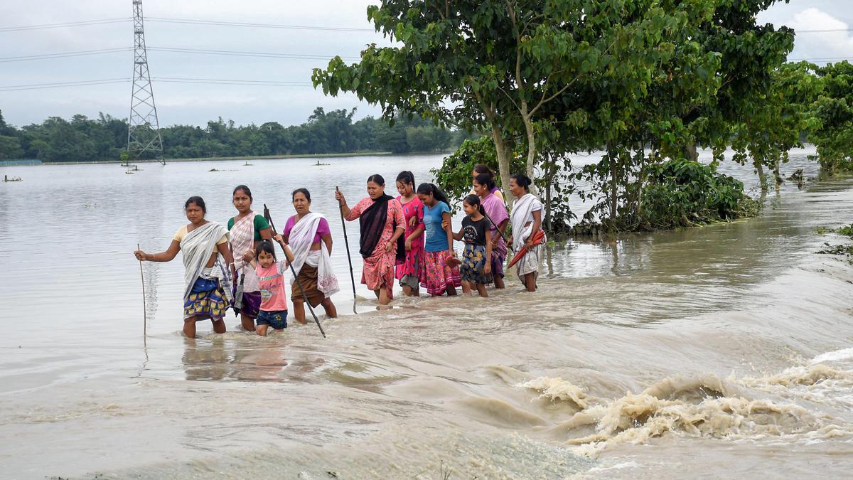 Flood situation grim in Assam; nearly 1.2 lakh hit