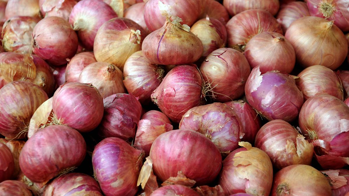 Cooperative stores to sell onions at ₹30 per kilogram to ease price hike