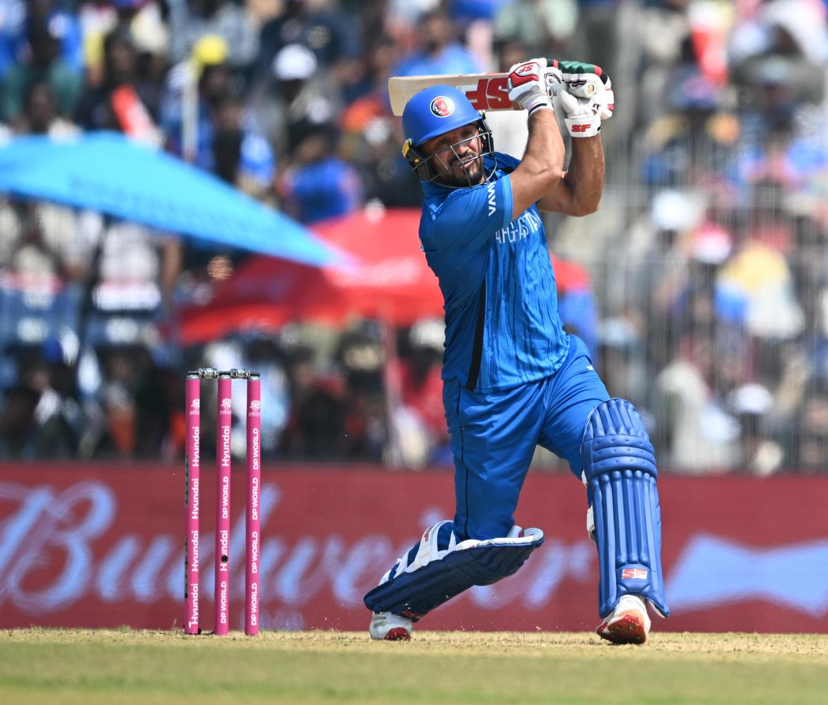 Gulbadin Naib dari Afghanistan saat pertandingan Piala Dunia ICC T20 melawan Selandia Baru di Stadion MAC di Chennai pada Minggu, 8 Februari 2026.