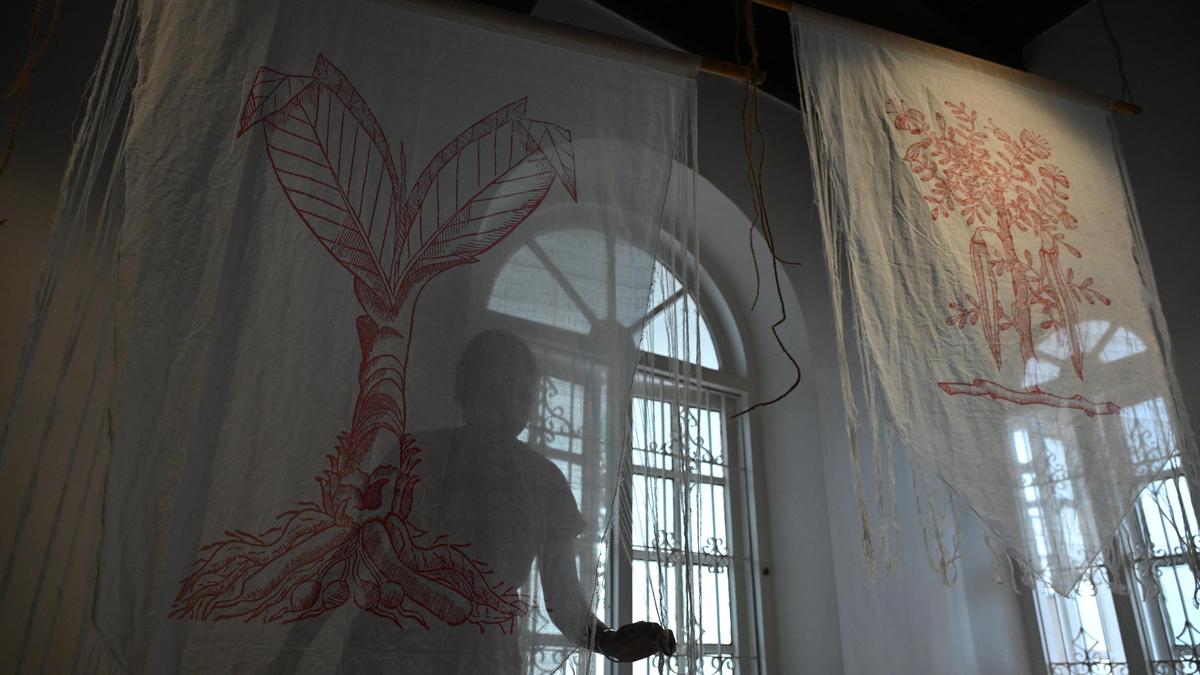 Biennale welcomes visitors to experience art with all the senses