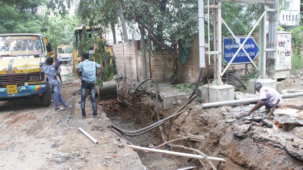 SWD Watch: On the alert