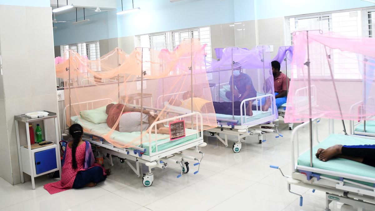 Over 6,100 dengue cases, eight deaths reported in T.N. so far