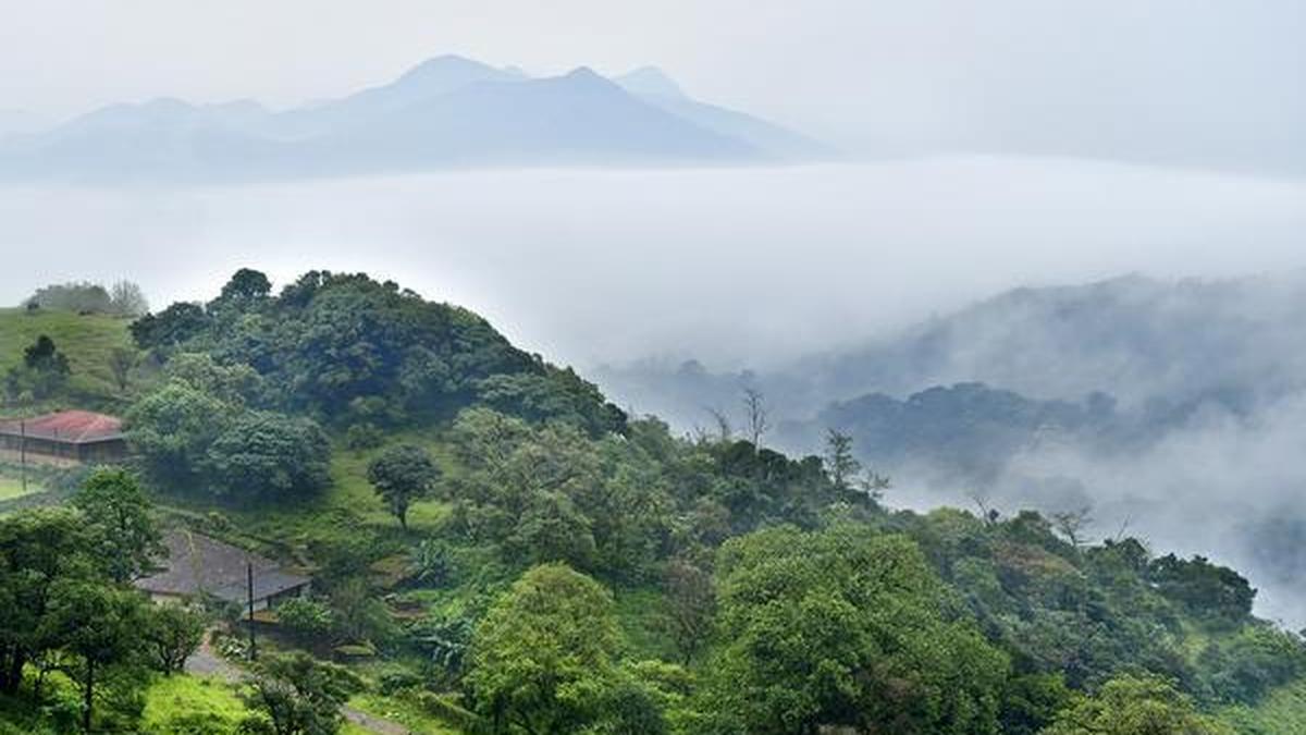 Conservationists push for national framework to protect India’s rivers and mountains