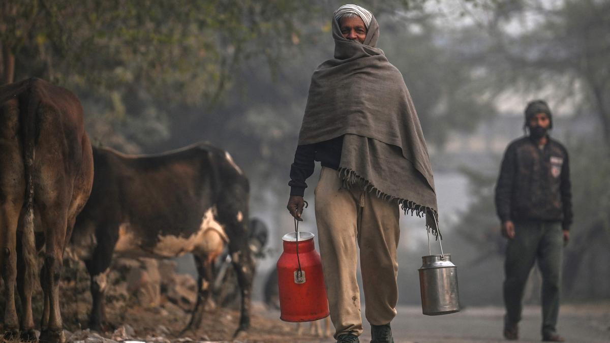 Bridge the milk divide for a nutritionally secure India