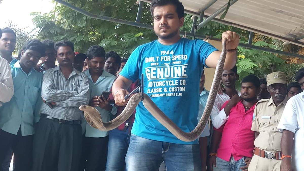 Indian Council of Medical Research studies morbidity of snakebites ...