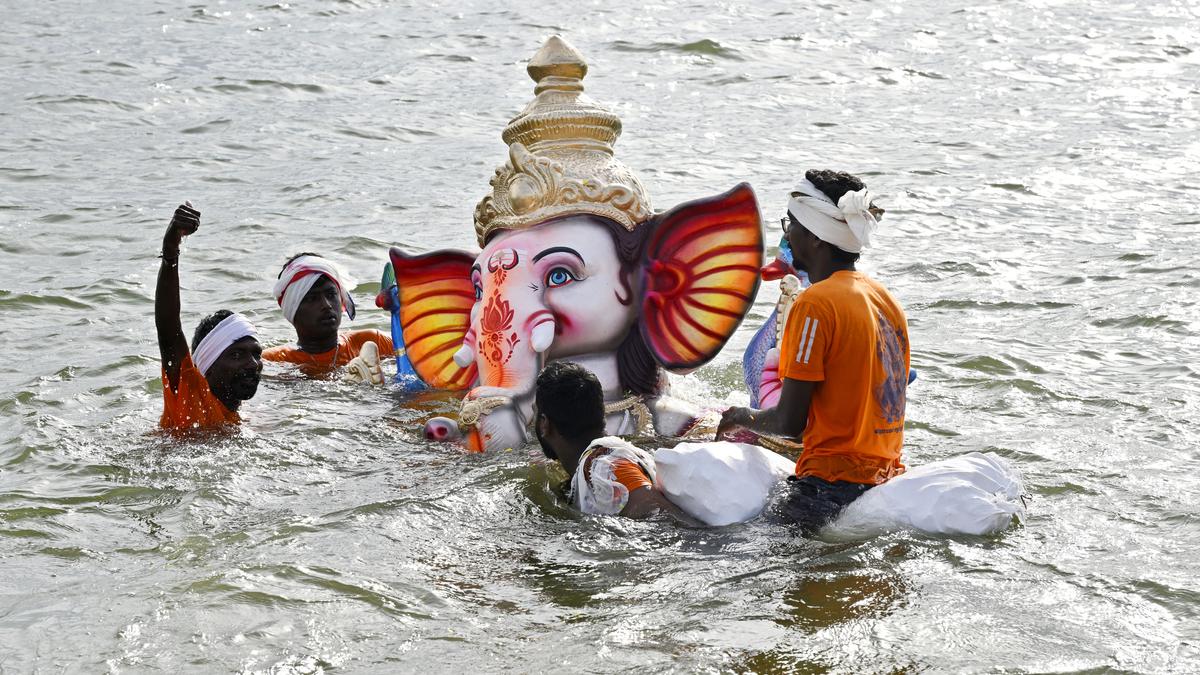 Immediately publicise ban on Plaster of Paris idols, NGT tells TNPCB