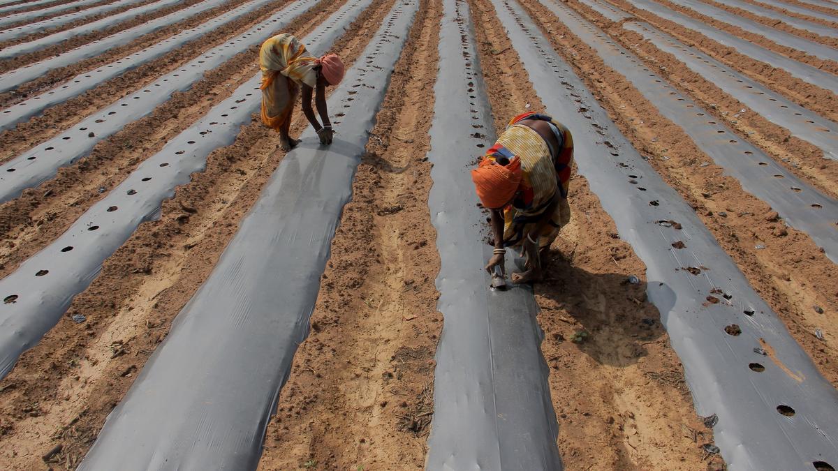 Intersectionality of gender and caste in women&rsquo;s participation in the labour force
Premium