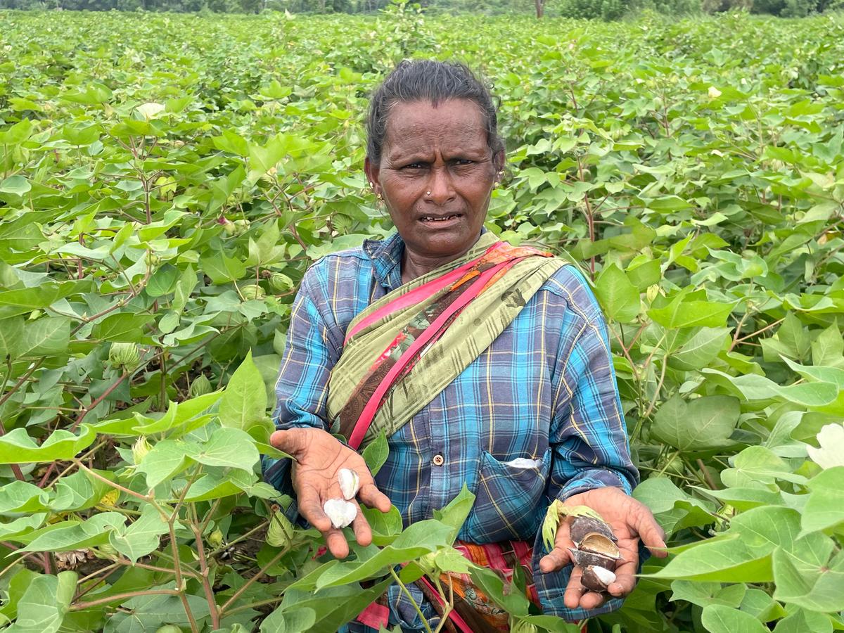 thehindu.com - Nacchinarkkiniyan M. - A tight contest amid shifting equations in coastal areas