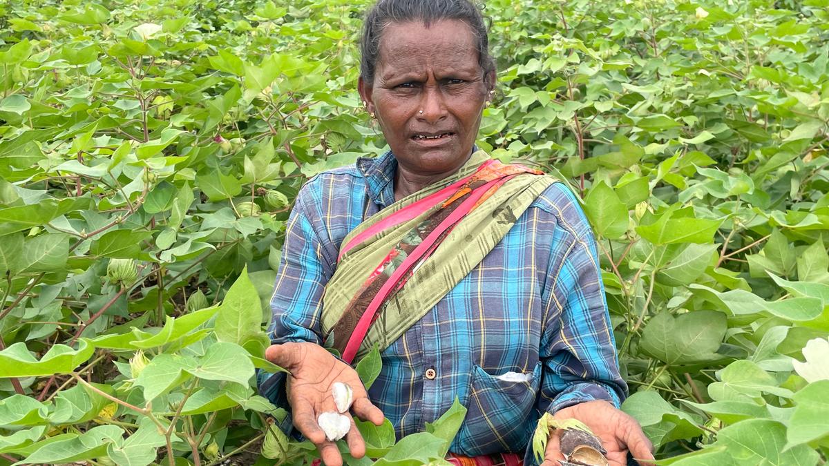 A tight contest amid shifting equations in coastal areas