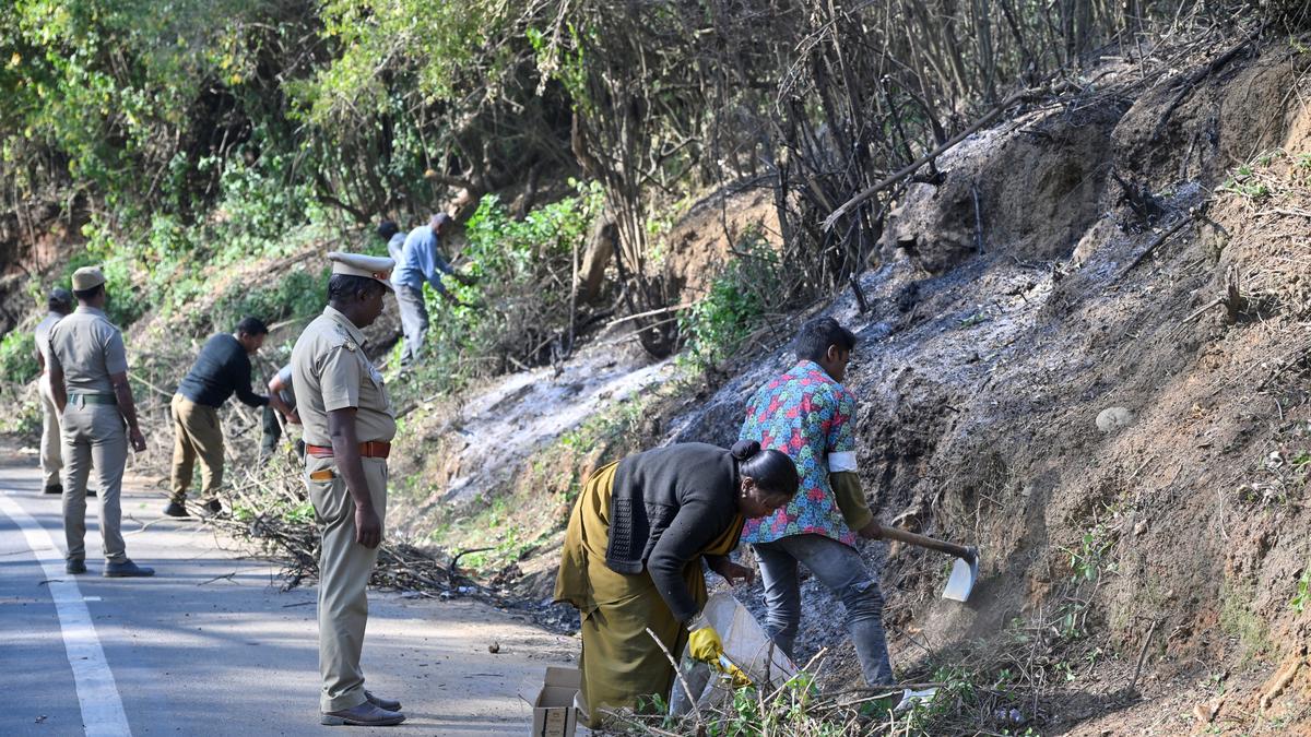 Mitigation strategies to prevent forest fires being implemented in Nilgiris forest division