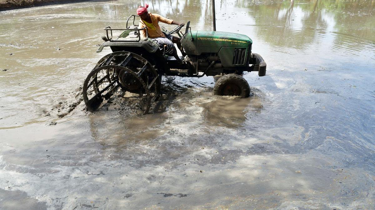 Increase in paddy procurement price fails to enthuse farmers in delta districts