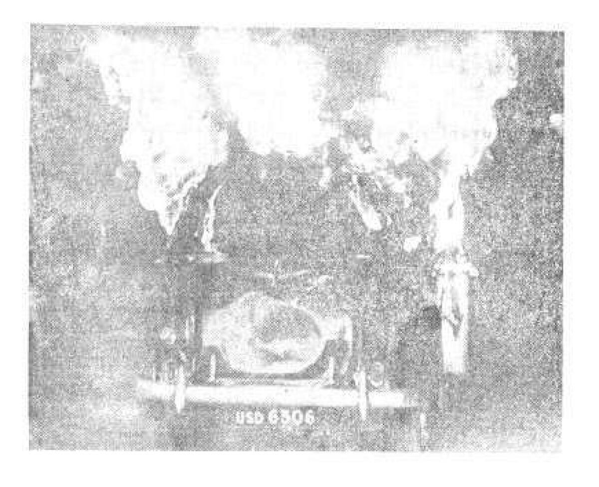 Anti-cow slaughter demonstrators stormed Parliament House in New Delhi in 1966 and indulged in violent acts. One of the cars set on fire by demonstrators going up in flames.