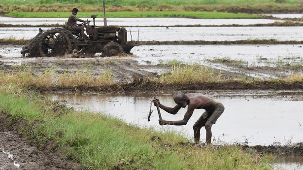 Increase paddy sowing, Centre asks States