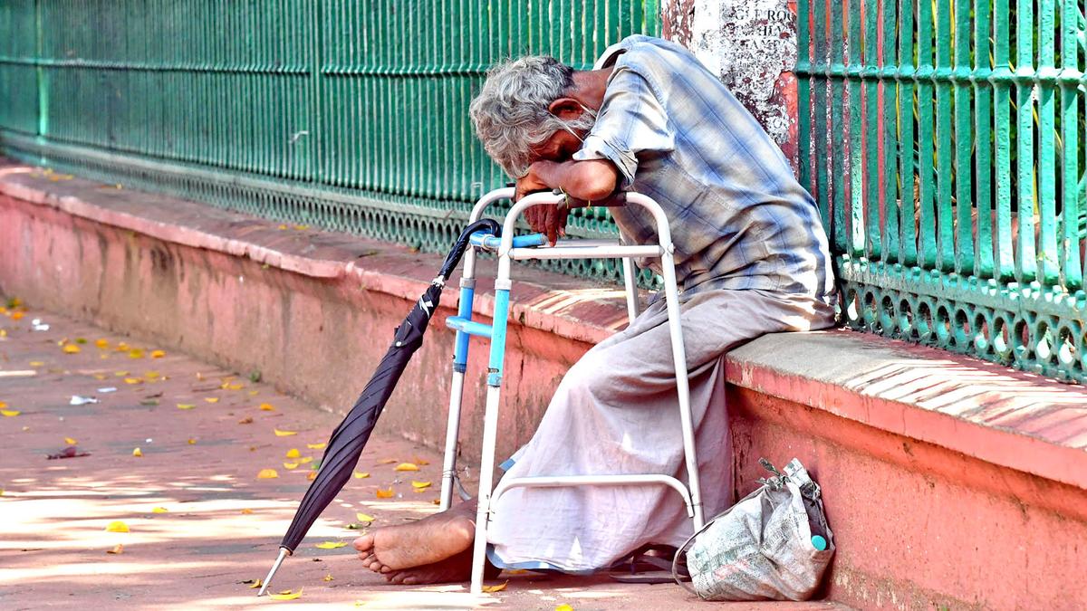 Falls and their impact on the elderly: causes and prevention
Premium