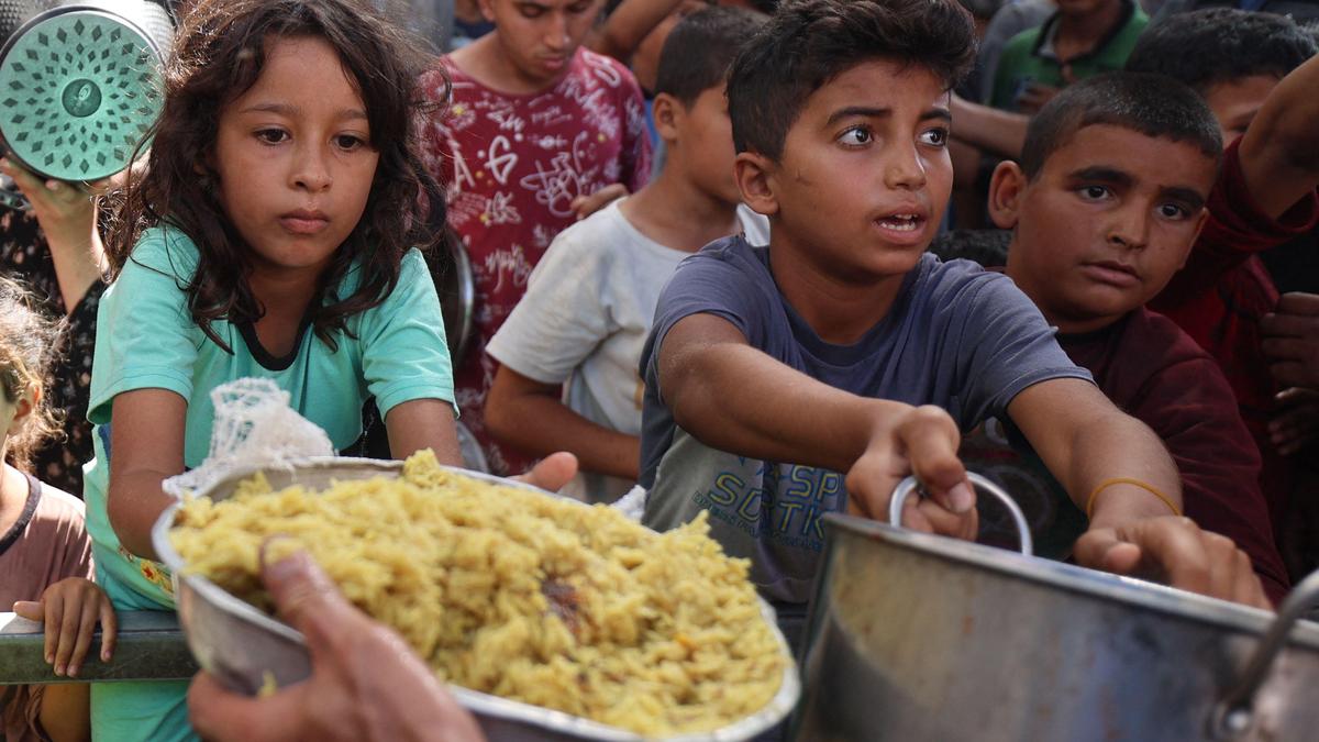 Drug-resistant bacteria proliferate in Gaza