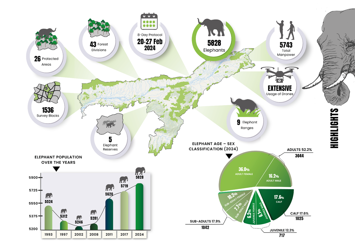 Assam records 5,828 elephants; stable population over decades Assam records 5,828 elephants; stable population over decades