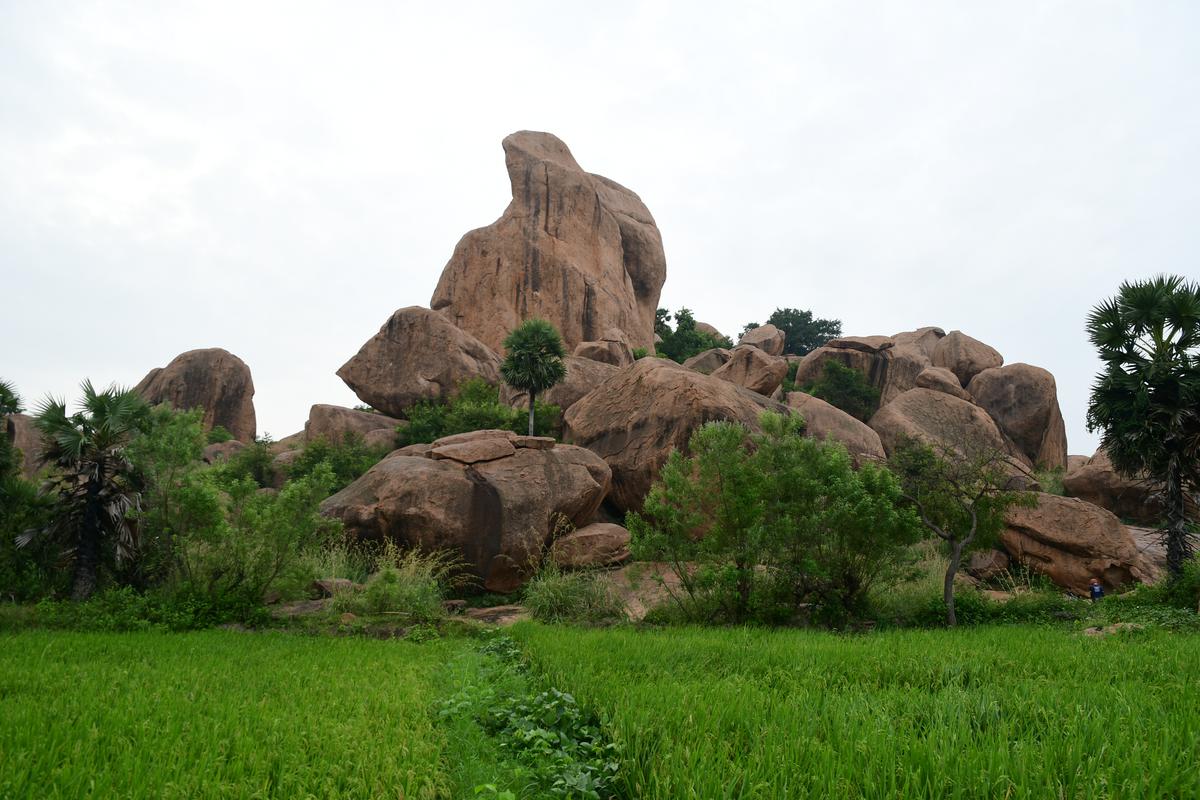 gandhamardan-hills-named-third-biodiversity-heritage-site-in-odisha