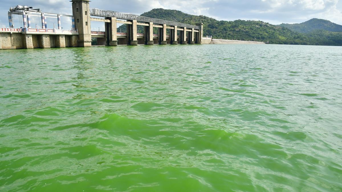 Flood warning issued in Krishnagiri