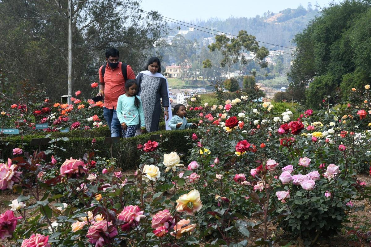 Turistas no jardim