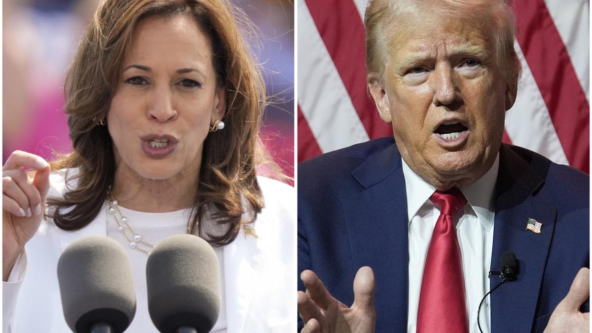 Harris leads Trump in several battleground States, various polls say