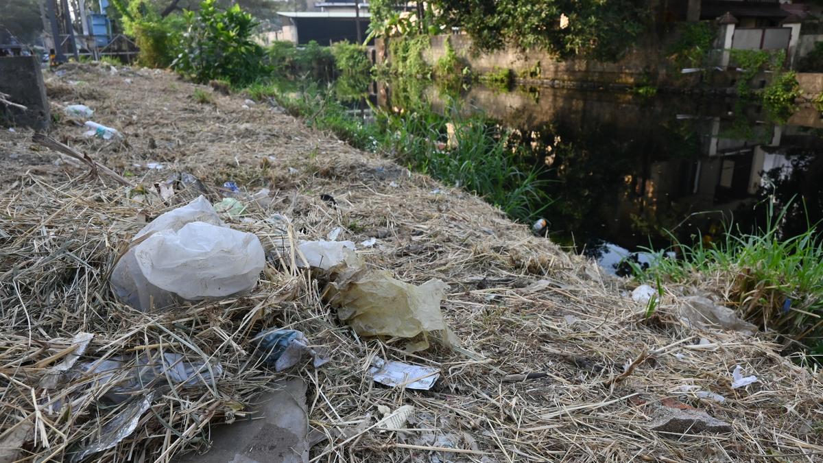 Kerala Pollution Control Board moots use of mobile app to identify pollution sources in Edappally, Perandoor canals