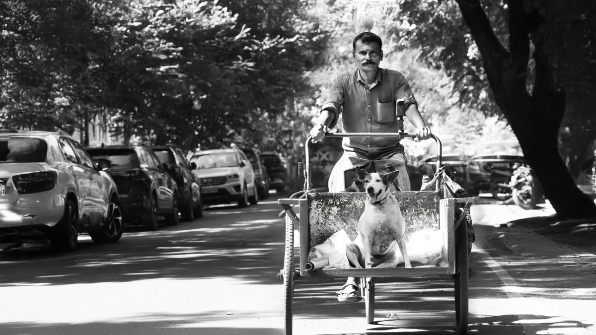 Here comes The Indie Calendar 2026