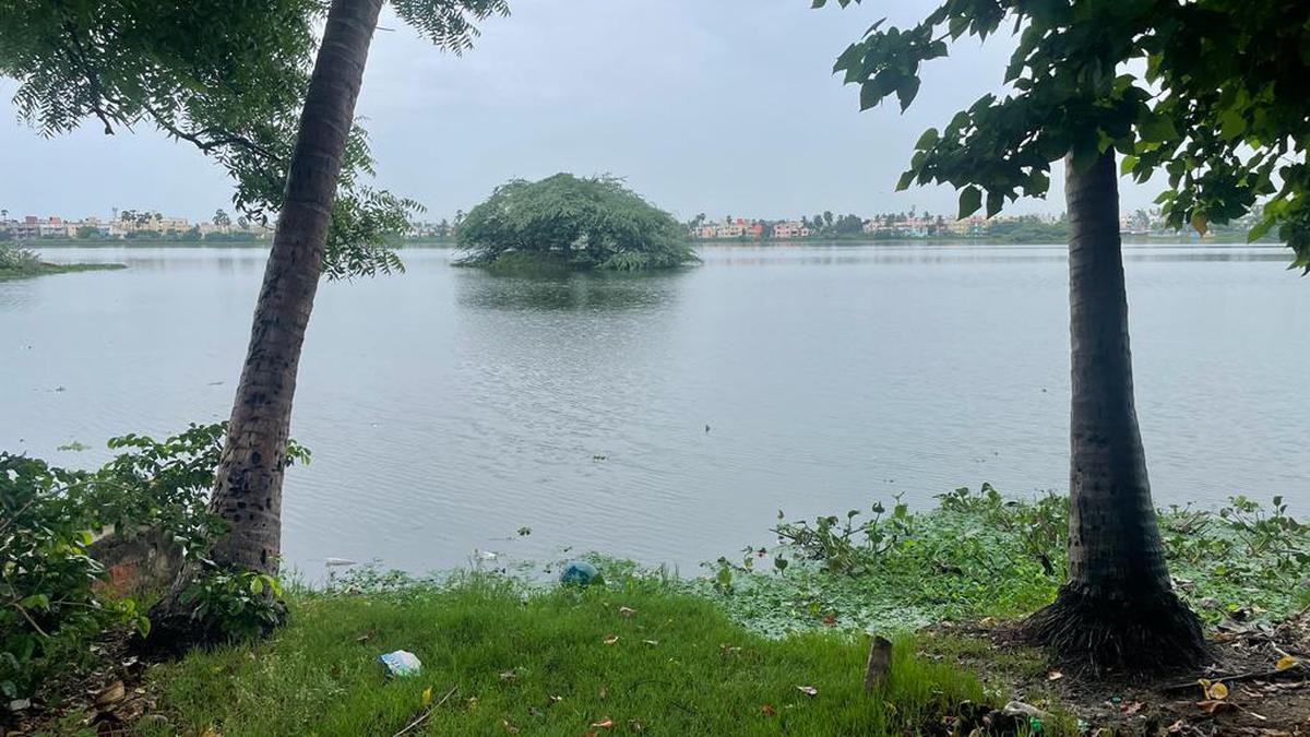 Residents want encroachments on Sembakkam lake boundary to be cleared