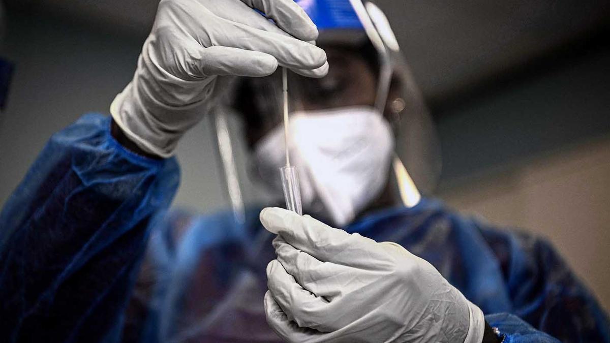 Covid virus changes sperm in mice, may raise anxiety in offspring: study