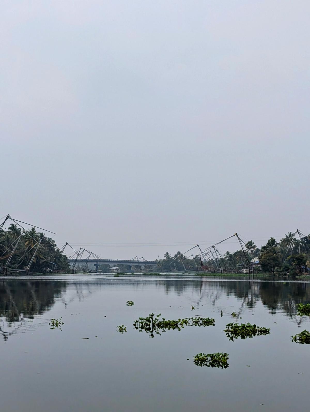 A view of the backwaters at Kadamakkudy