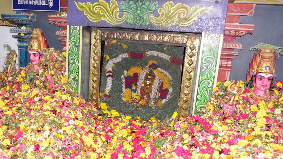 Poochorithal festival celebrated at Tiruvappur temple