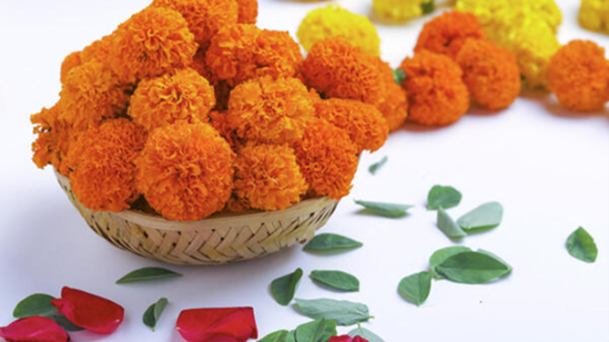 This Diwali, adorn your home with these interesting patterns using marigold flowers