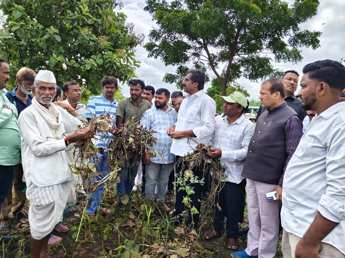 Karnataka rain: Minister assures swift relief, crop compensation for Bidar  district - The Hindu