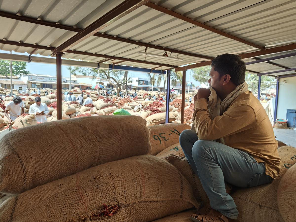 Mounesh Acharya, a chilli farmer from Dommmu in Ballari district, waits for bidders to arrive at the Byadgi APMC yard in Haveri district of Karnataka on March 20, 2025.