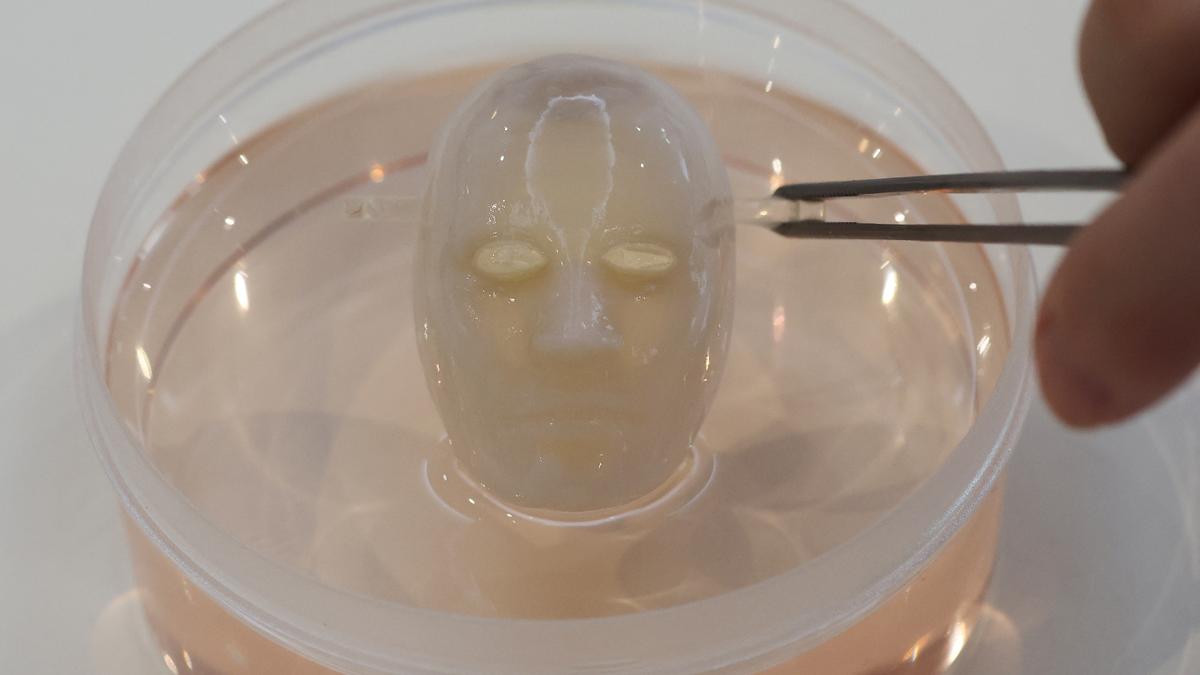 Say cheese: Japanese scientists make robot face 'smile' with living skin