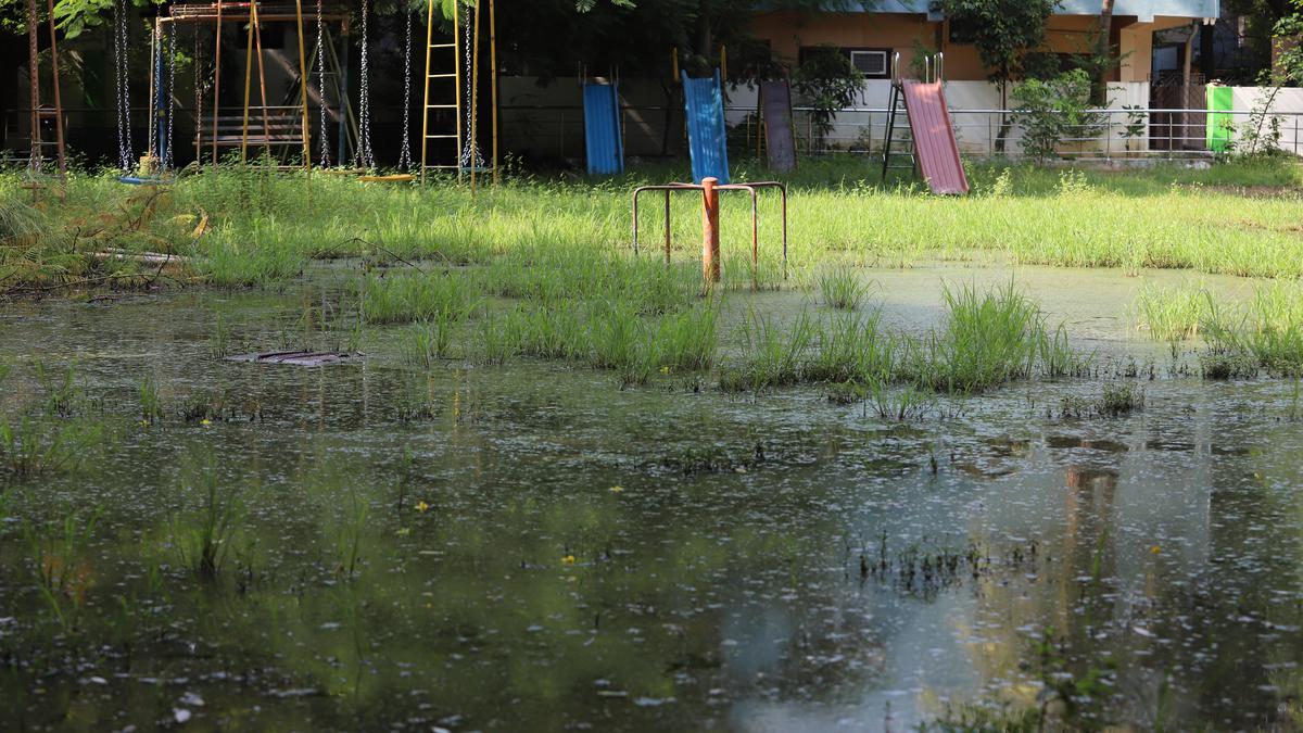 Quaint little park in Ashok Nagar marred by neglect