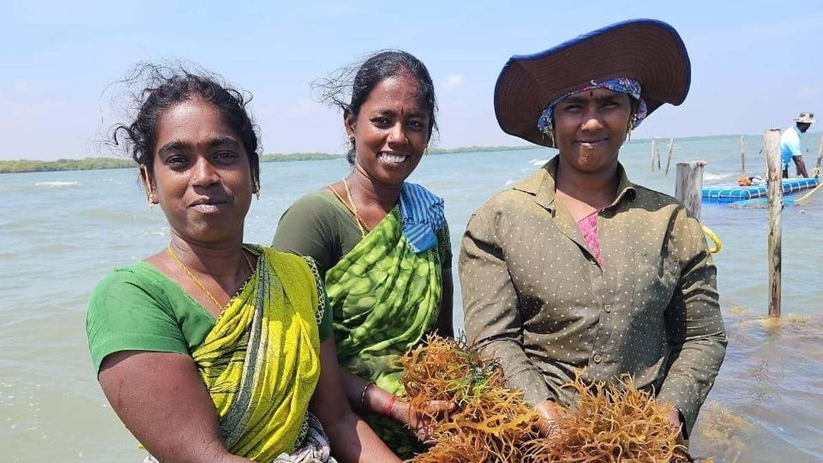 Turning the tide for coastal women