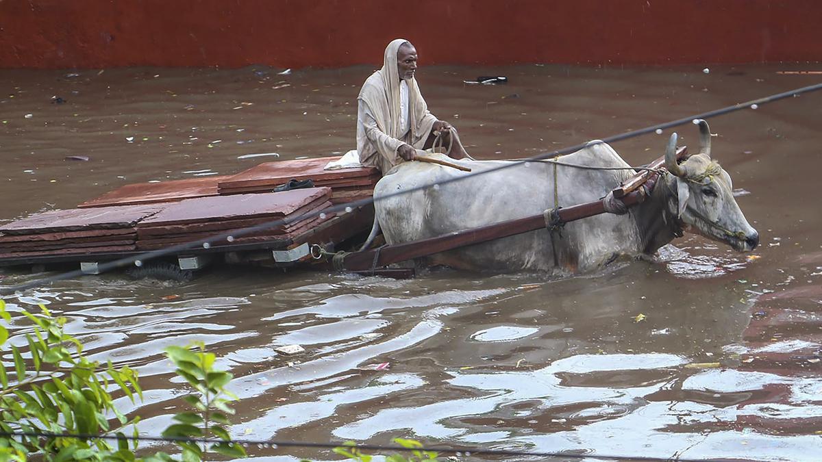 U.P. ‘s ‘Rahat Chaupal’ aims to educate people on disaster management