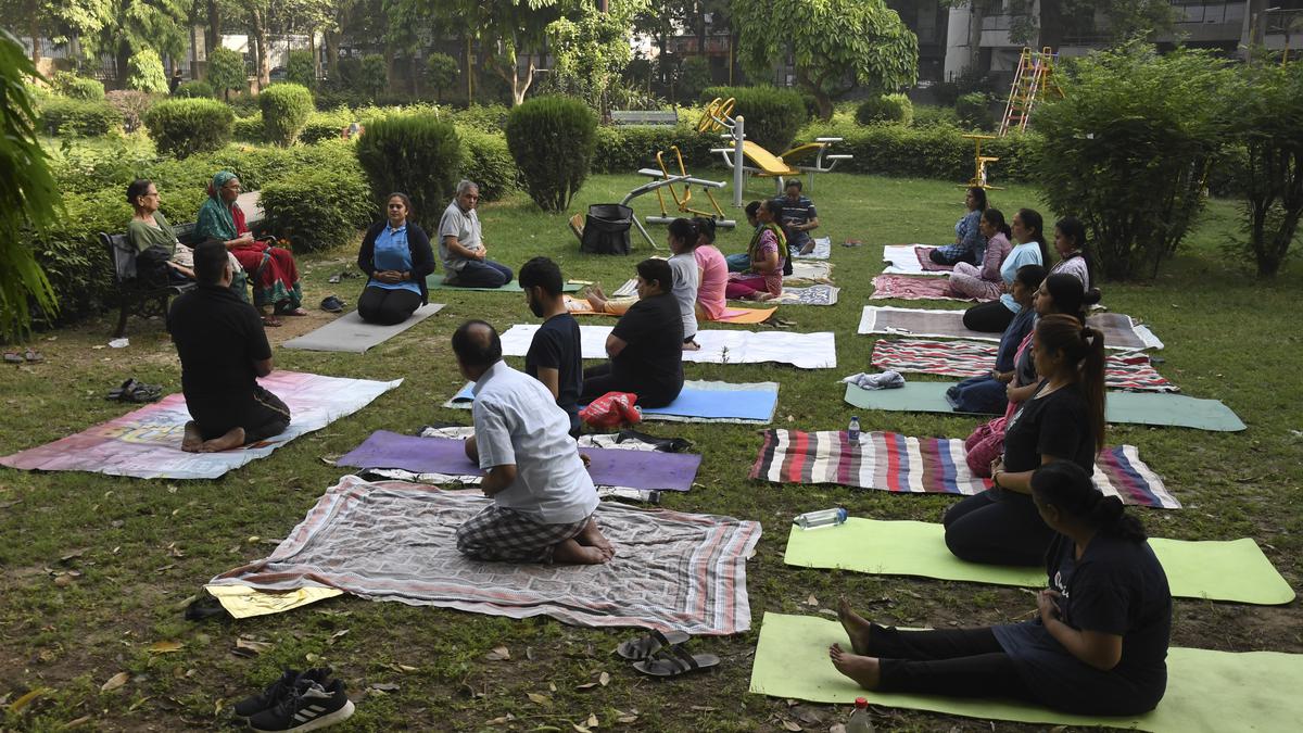 No free yoga classes from today amid fresh LGAAP govt. tussle The Hindu