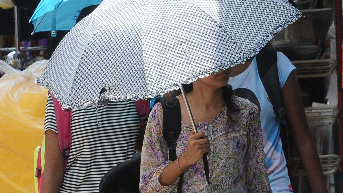 Temperature in Bengaluru goes above 30 deg C as winter almost comes to ...