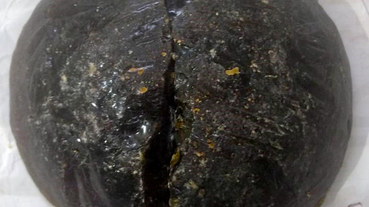 Ambergris worth ₹2 crore seized in Ahmedabad; one held