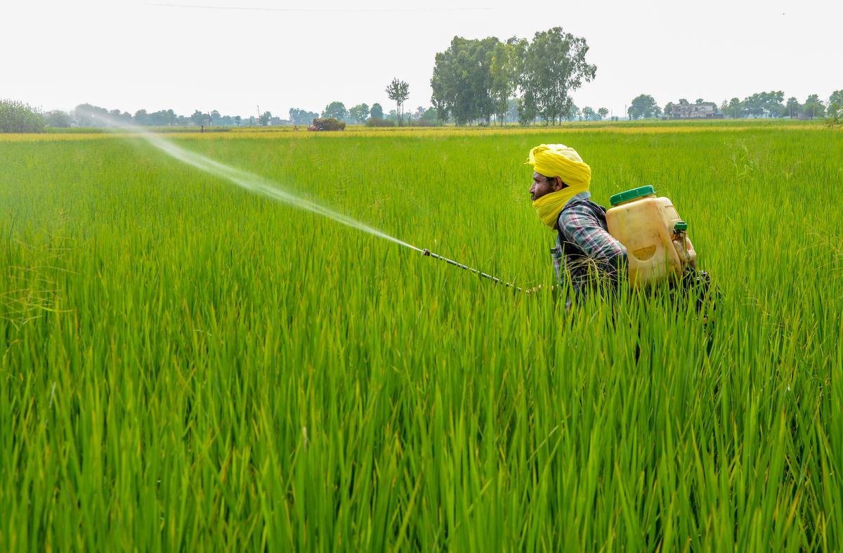 RSS farmer body Bharatiya Kisan Sangh to fight for ‘profitable price’ of crops