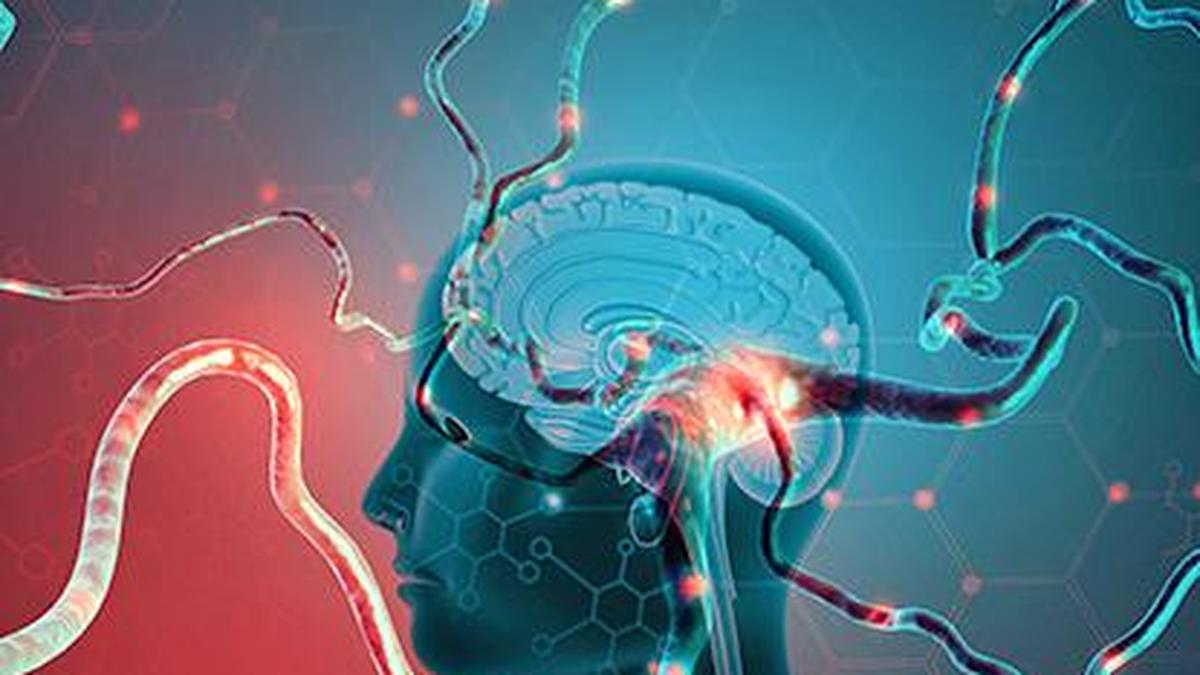 Touch-related sensations most strongly trigger human nervous system: study