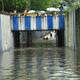 Fear of flooding forces Bengaluru techie to leave ₹1.08 crore villa and ...